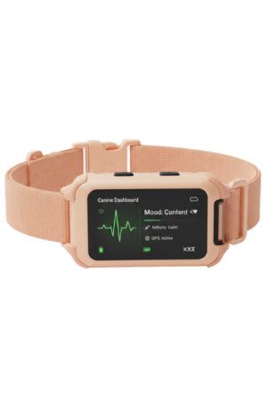 The Kinetic Collar (Peach Colour)