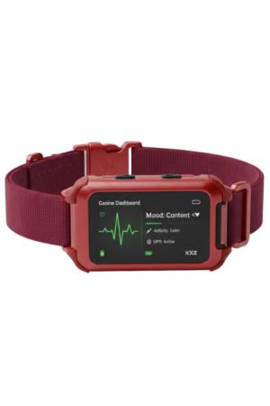 The Kinetic Collar (Red Colour)