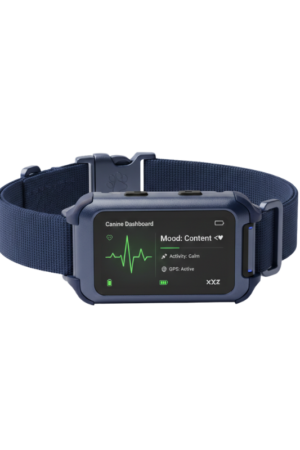 The Kinetic Collar (Blue Colour)