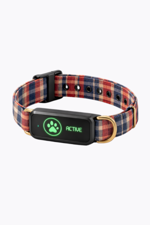 Classic Wag - Red Plaid Collar
