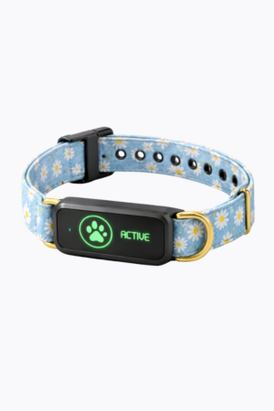 Classic Wag - Blue Floral Collar