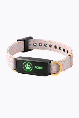 Classic Wag - Pastel Dots Collar