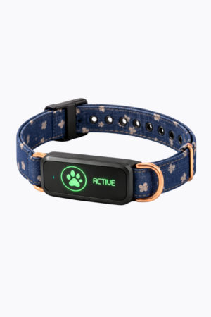 Classic Wag - Navy Pattern Collar