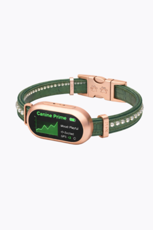 Prime Time Pup - Emerald Lux Collar