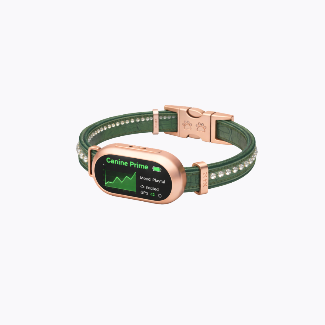 Prime Time Pup - Emerald Lux Collar