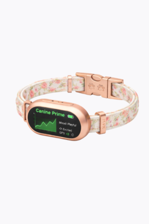 Prime Time Pup - Blossom Garden Collar