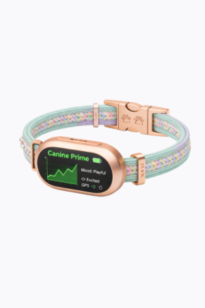 Prime Time Pup - Coastal Braid Collar